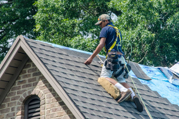 Best Storm Damage Roof Repair  in Waynesville, MO